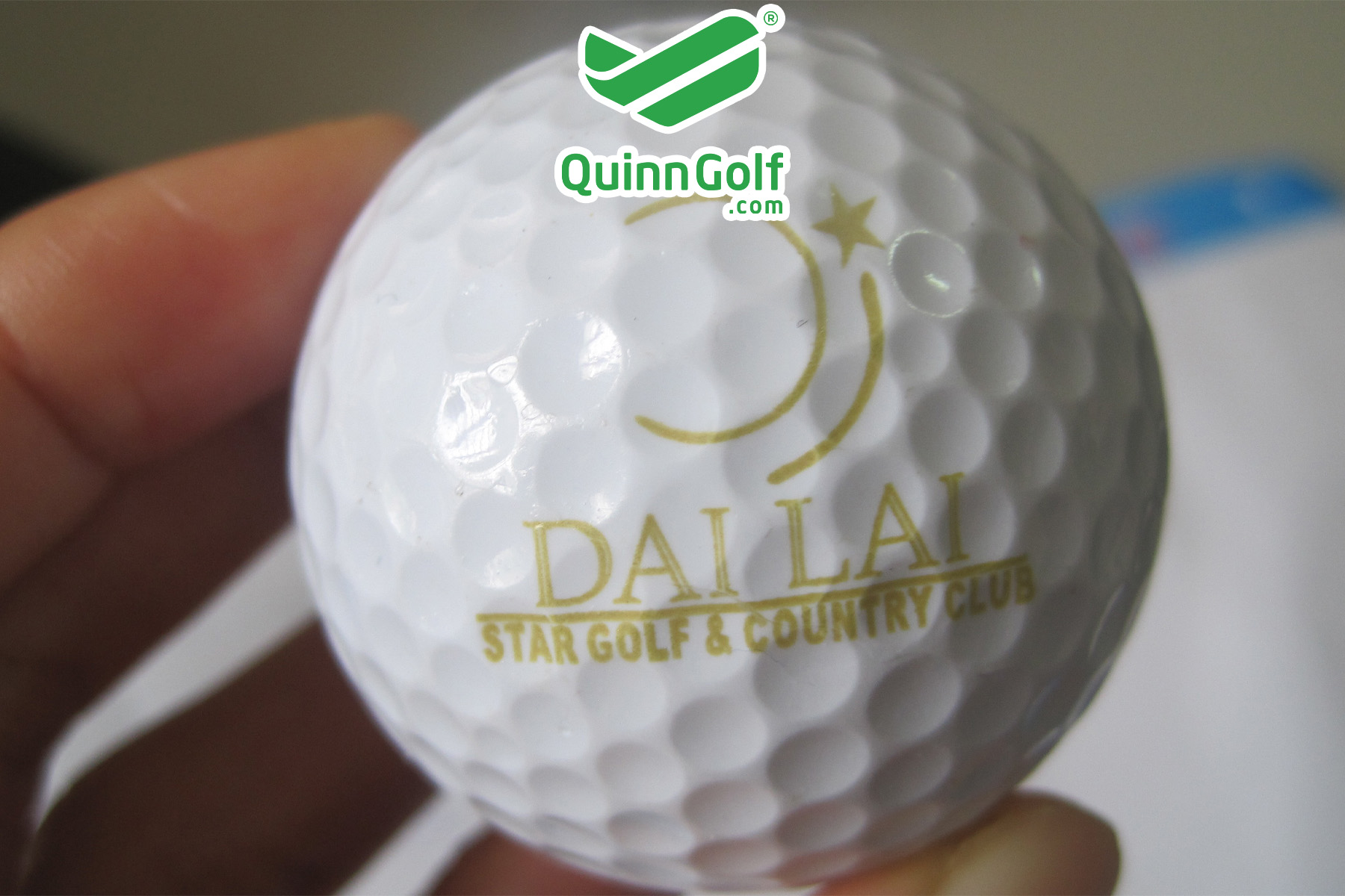 Bóng Golf in logo