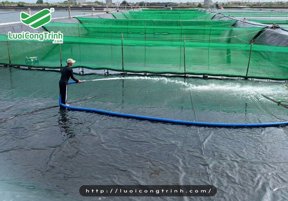 Lưới nuôi trồng thủy hải sản