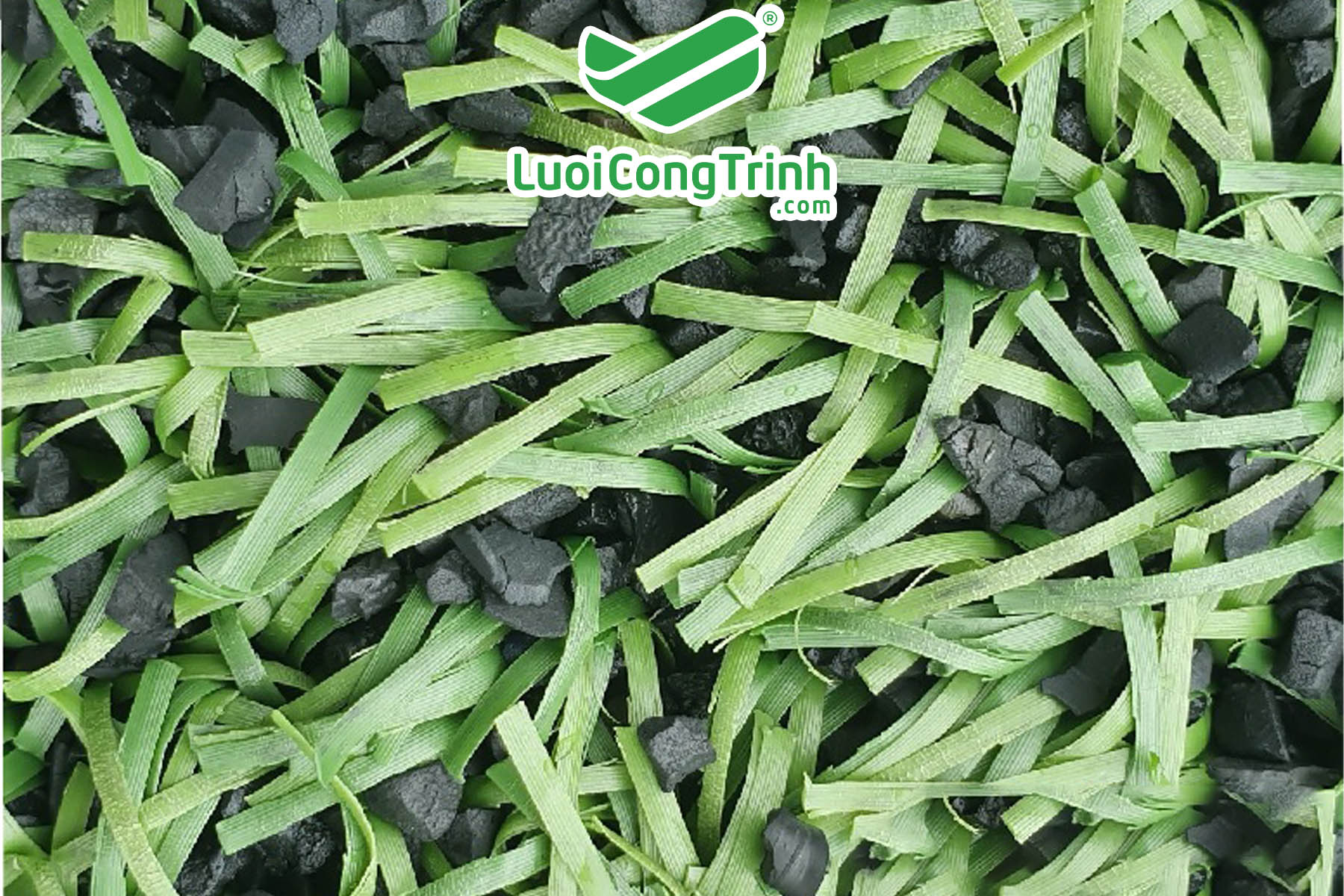 cỏ sân bóng đá