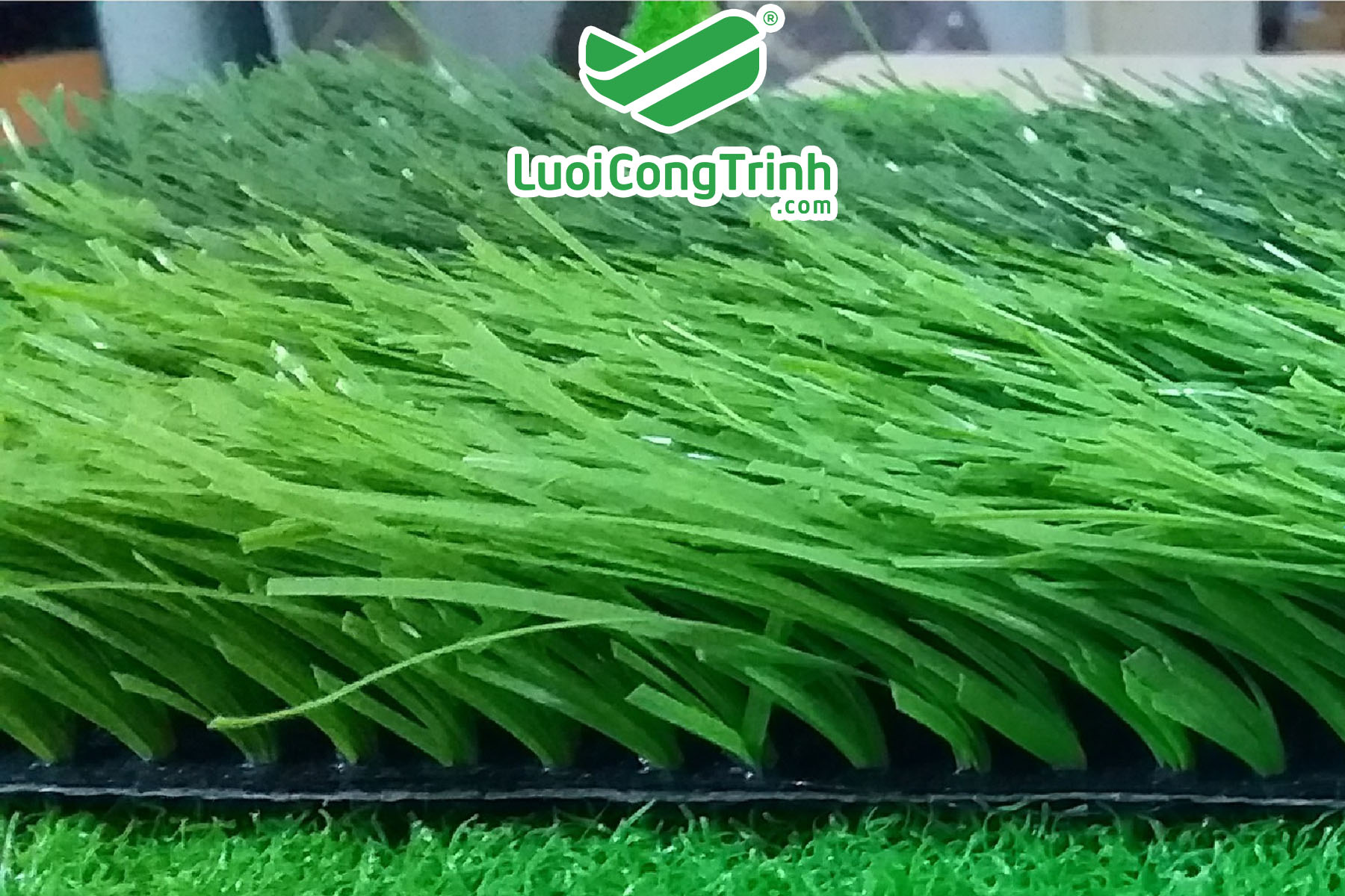 cỏ sân bóng đá