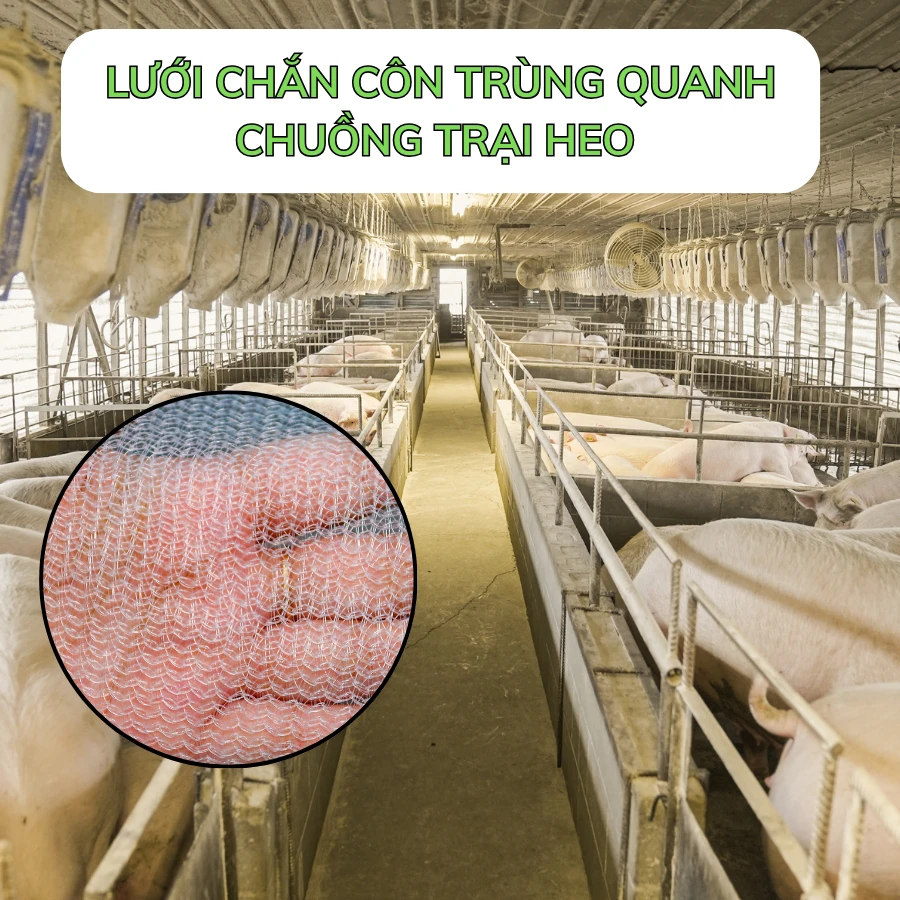 Lưới chắn côn trùng quây chuồng trại HDPE - Trang trại chăn nuôi lớn