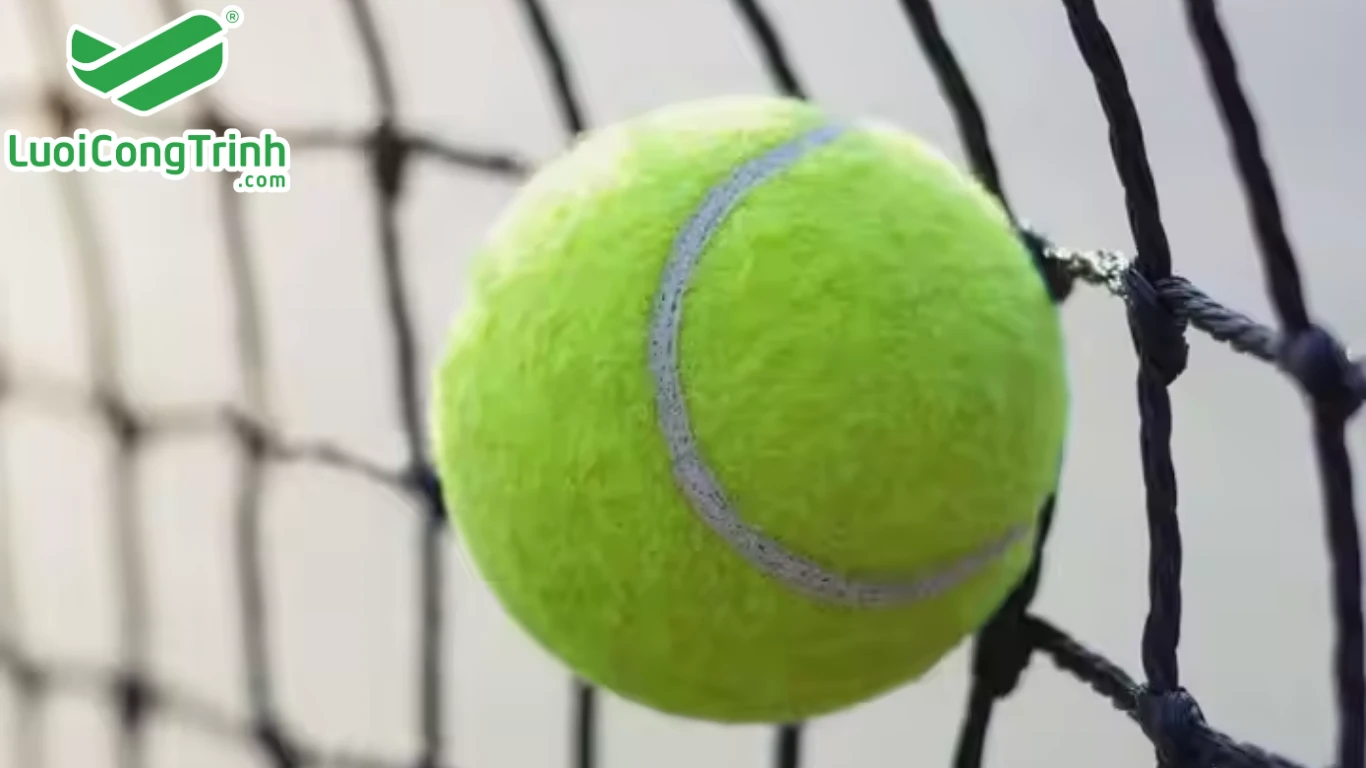 Lưới quây sân Tennis