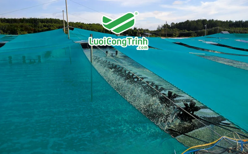 Lưới Ô Vuông Nuôi Trồng Thủy Sản HDPE – Bền Chắc, Hiệu Quả, Sản Xuất Theo Yêu Cầu