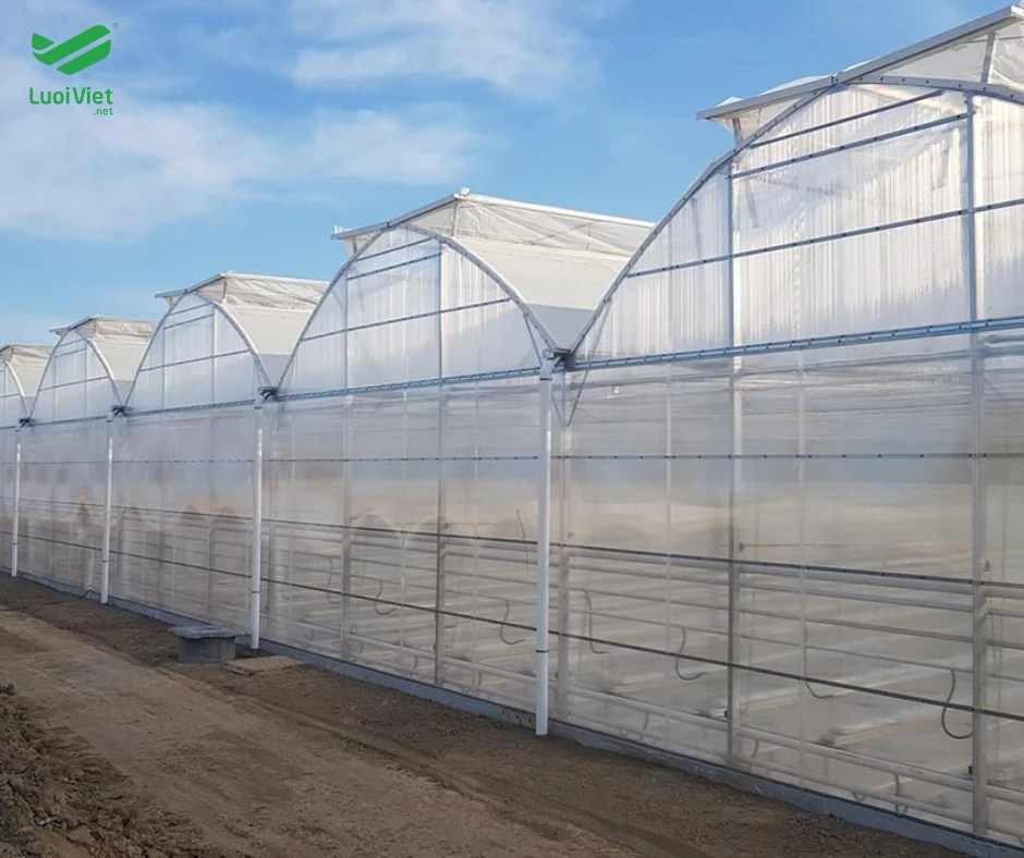 Lưới chắn côn trùng - Biên pháp hữu hiệu cho nông nghiệp